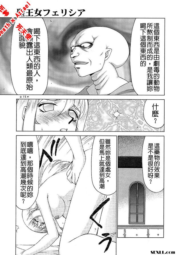 聖王女菲莉西亞17