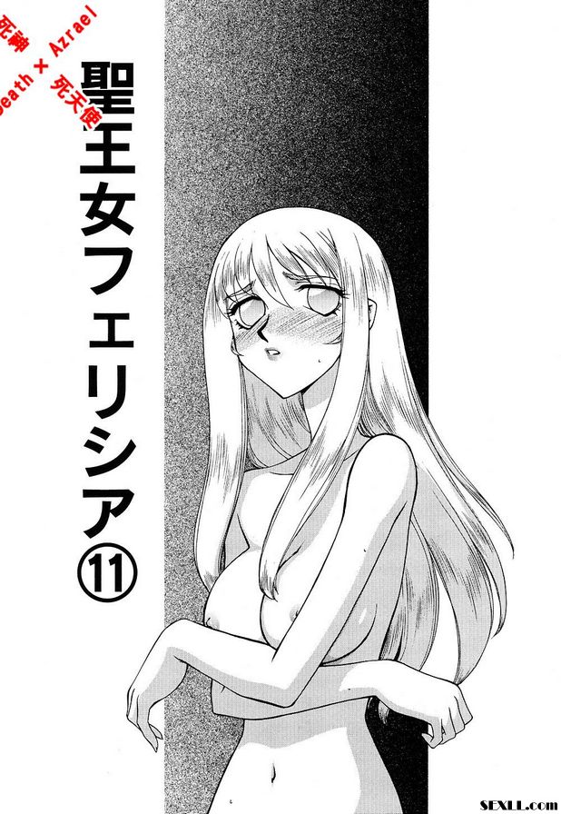 聖王女菲莉西亞11