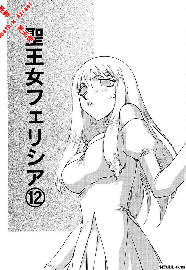 聖王女菲莉西亞12