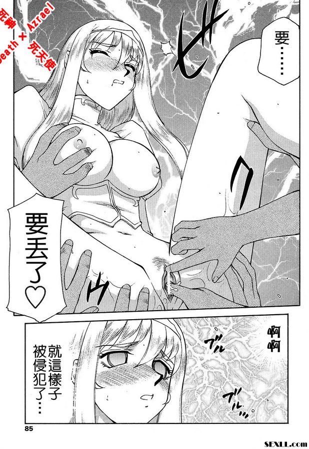 聖王女菲莉西亞13