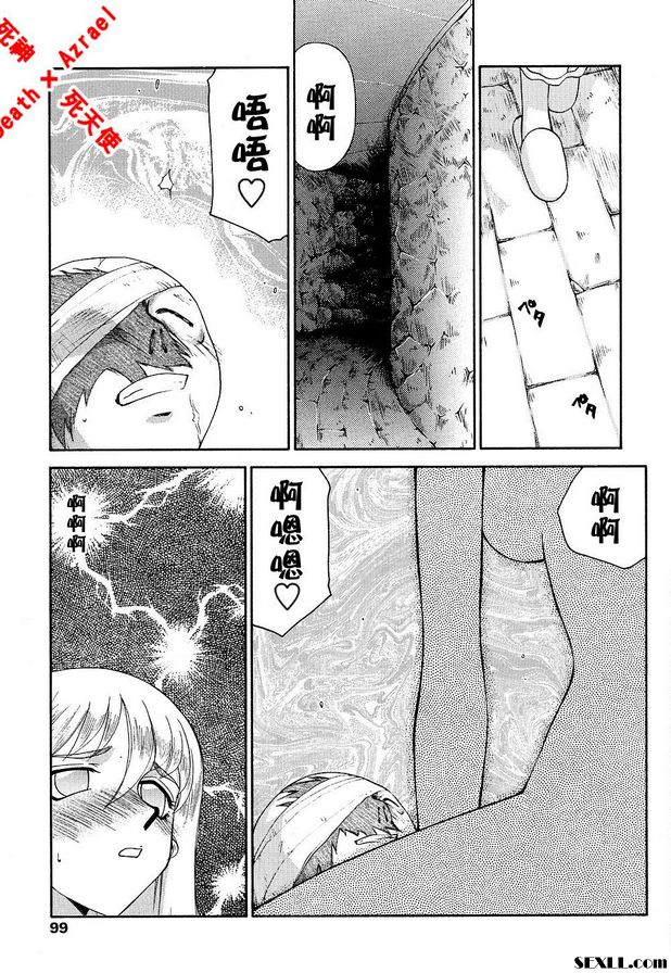 聖王女菲莉西亞14