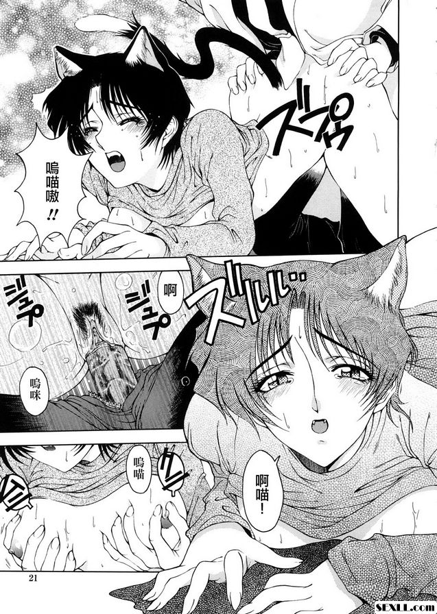 1：博士的奇妙愛情