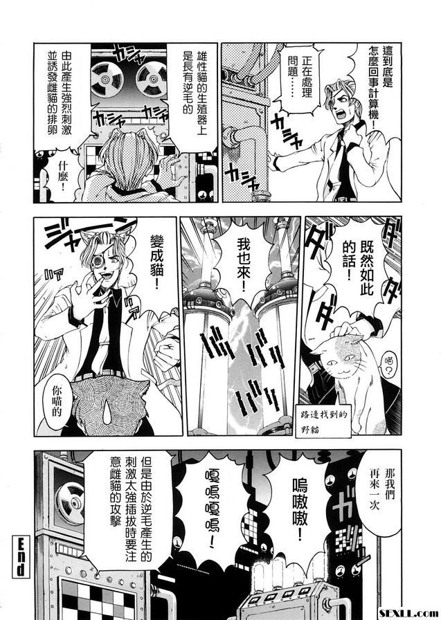 1：博士的奇妙愛情