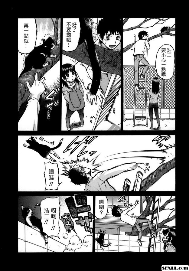 奇蹟的貓變