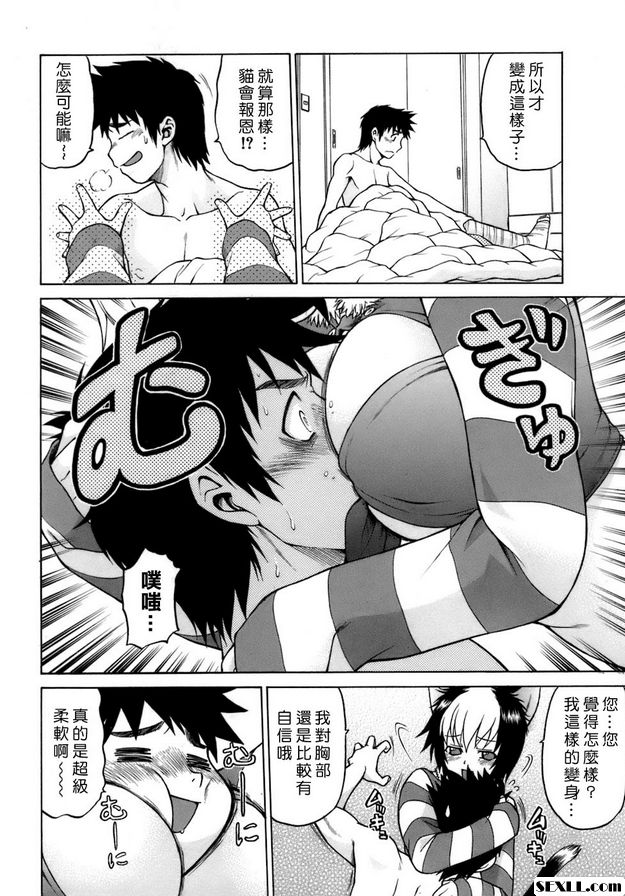 奇蹟的貓變