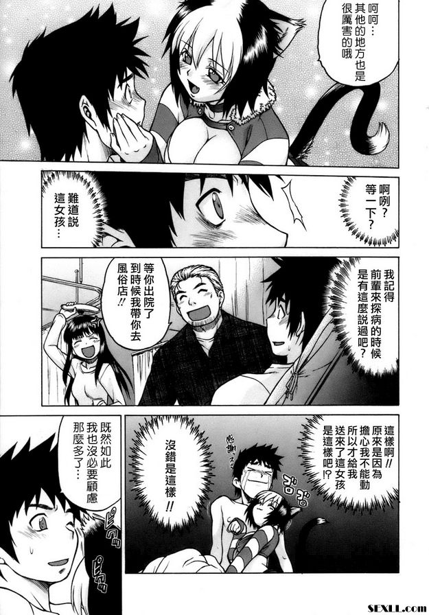 奇蹟的貓變