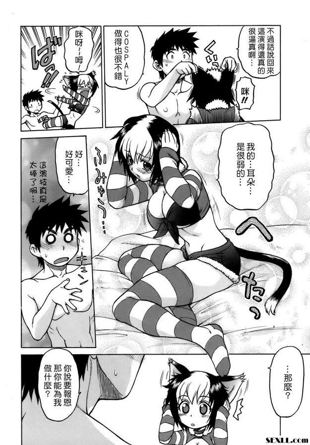 奇蹟的貓變