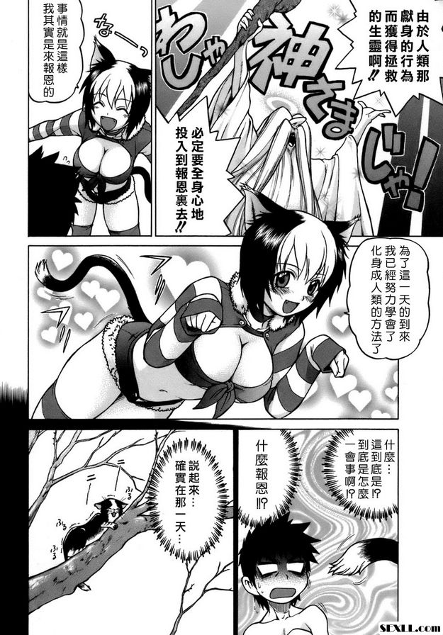 奇蹟的貓變