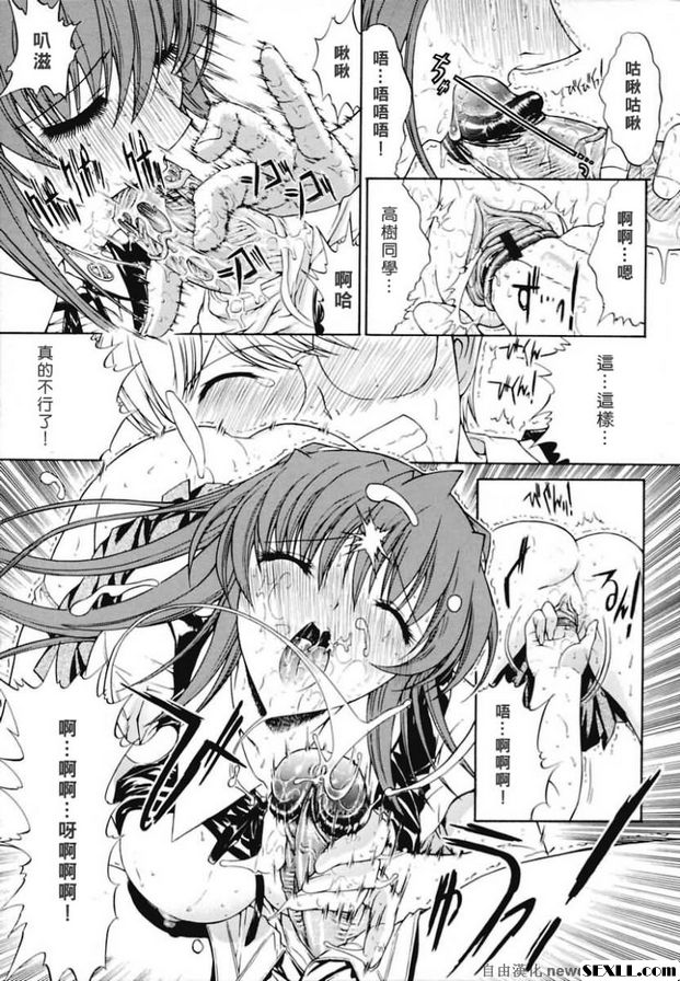 蜜蜂1