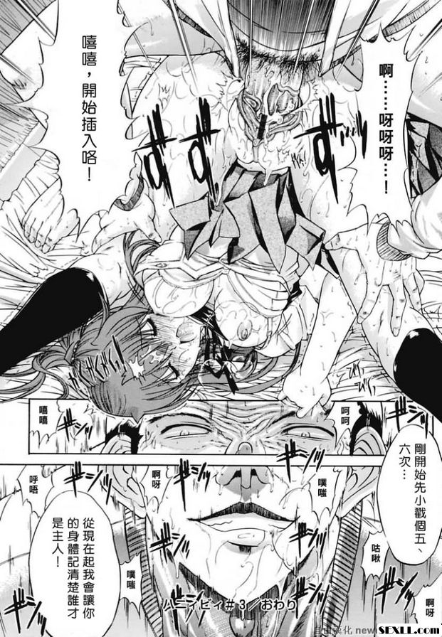 蜜蜂3