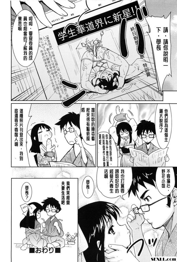 棉花花