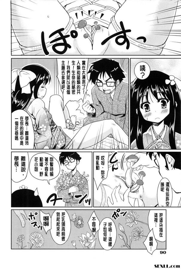 棉花花