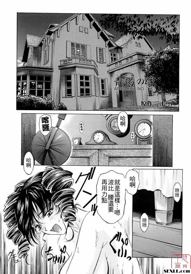 藍棕色房子