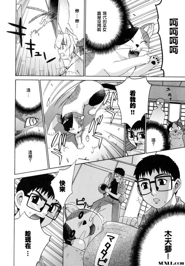 鄰家的巫女都在笑終