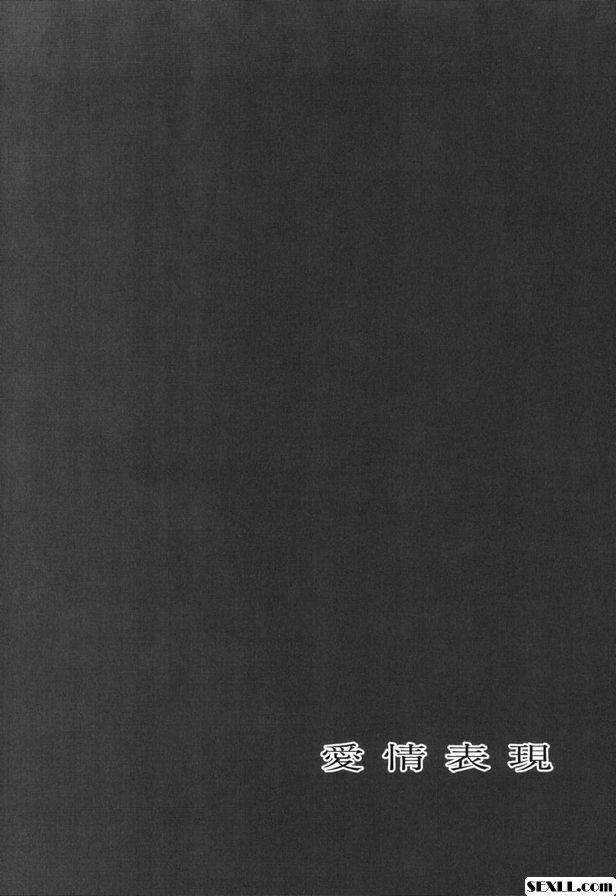 公星之星補助金