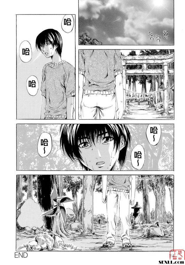 從夏天到夏天
