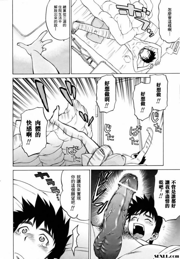 奇蹟の貓拳