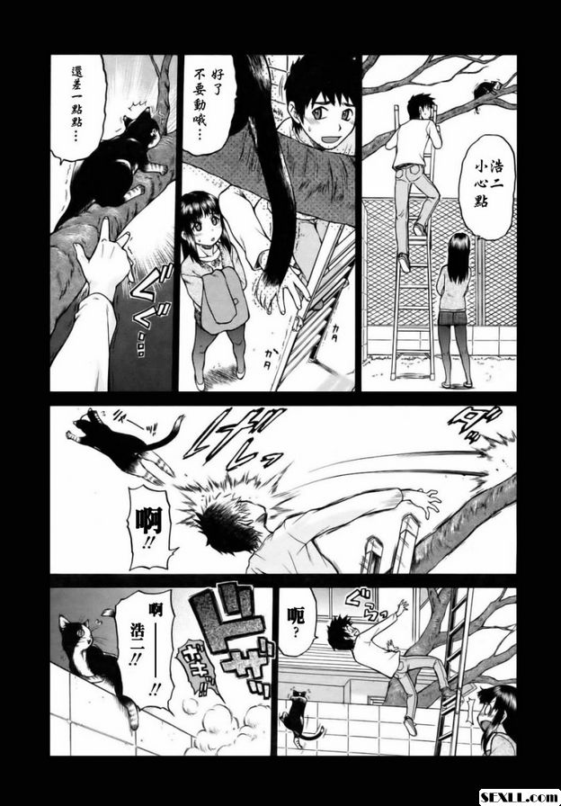 奇蹟の貓拳