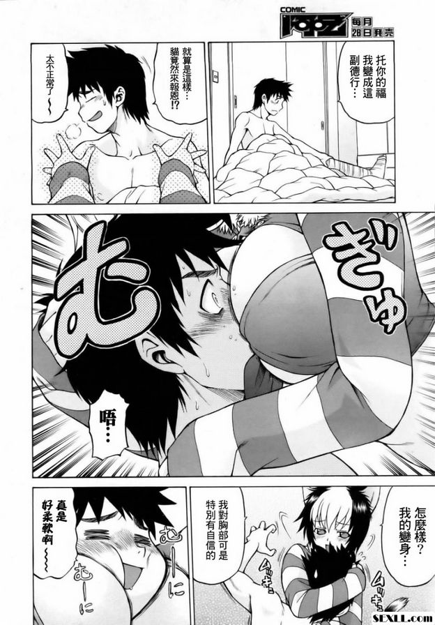 奇蹟の貓拳