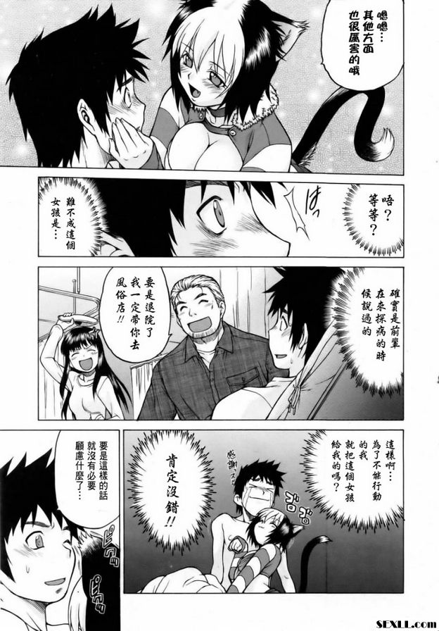 奇蹟の貓拳