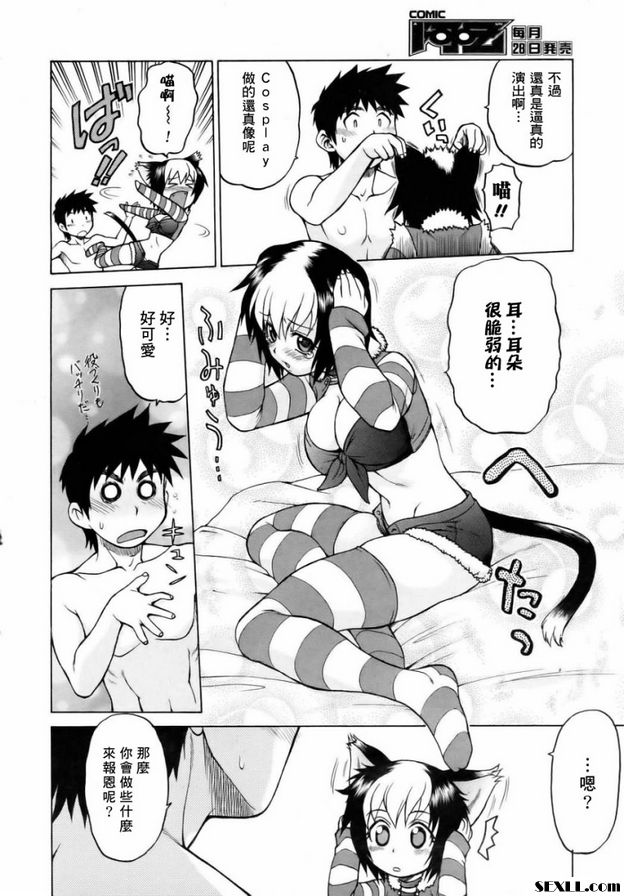 奇蹟の貓拳