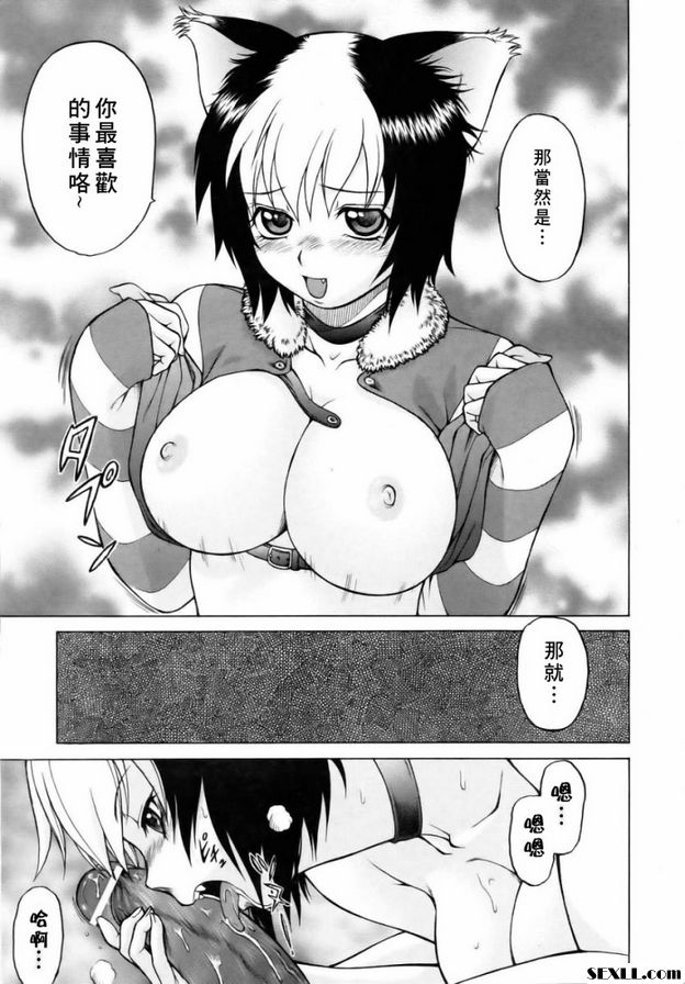 奇蹟の貓拳