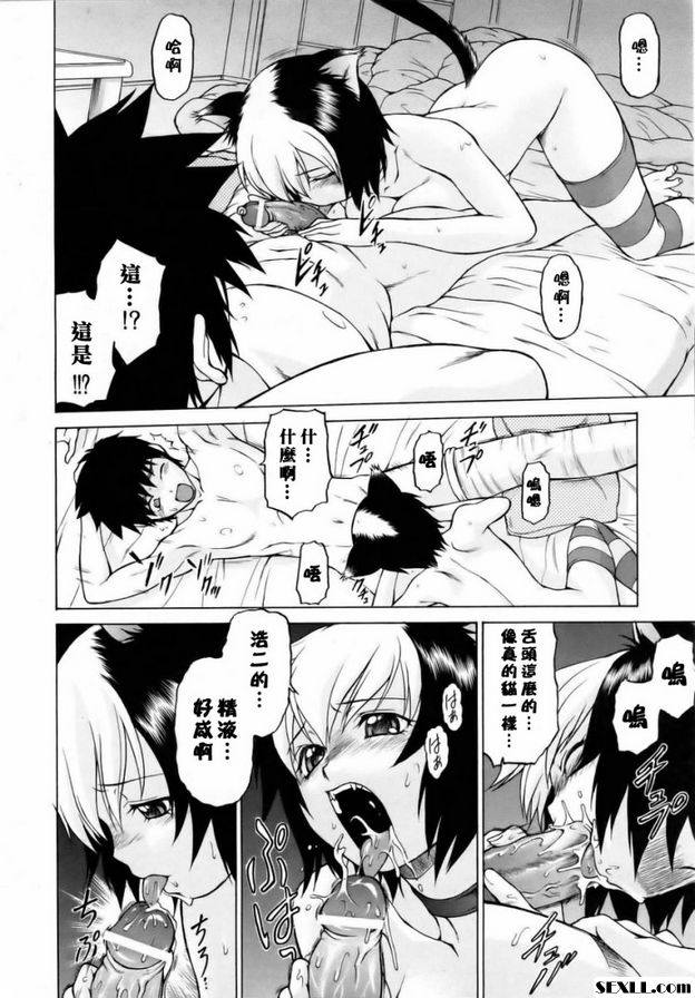 奇蹟の貓拳