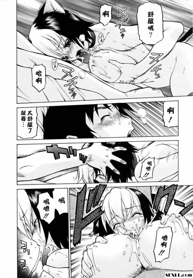 奇蹟の貓拳