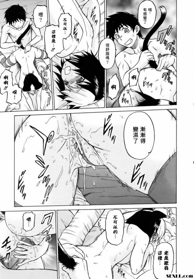 奇蹟の貓拳
