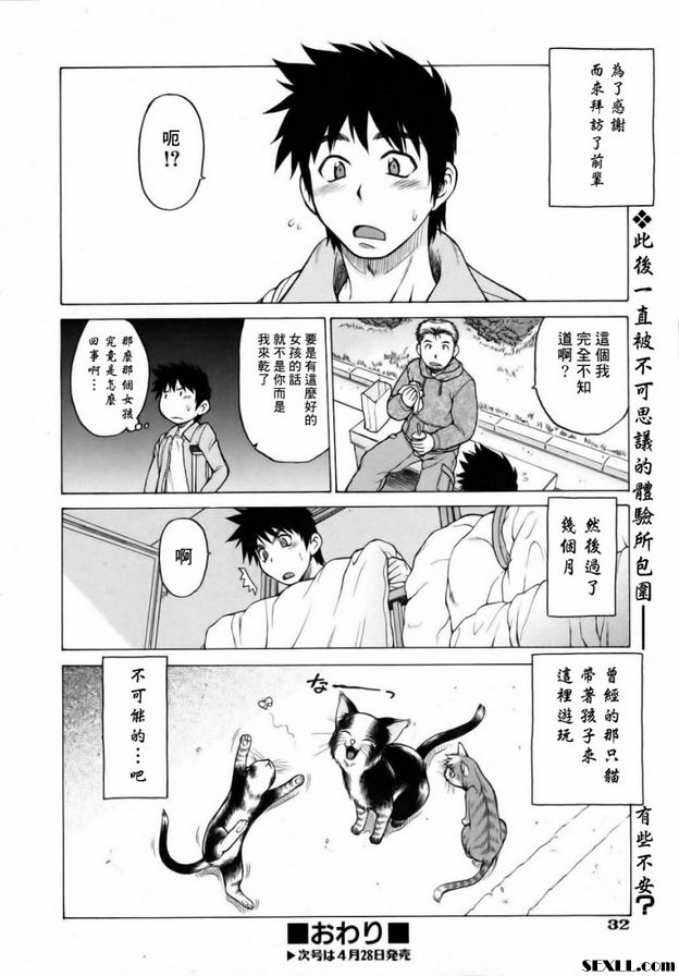 奇蹟の貓拳