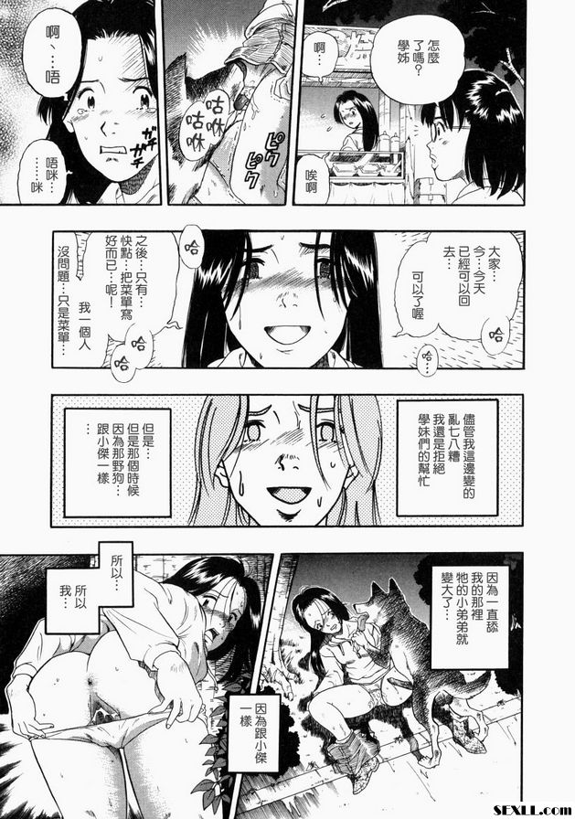 雙方的結局中篇