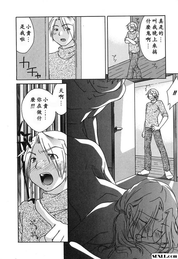 均衡與羈絆