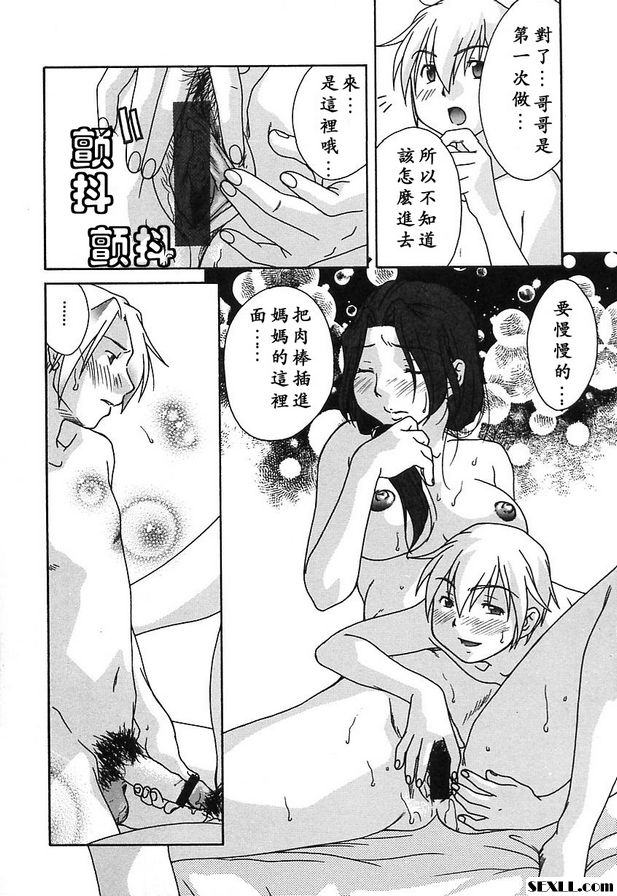 均衡與羈絆
