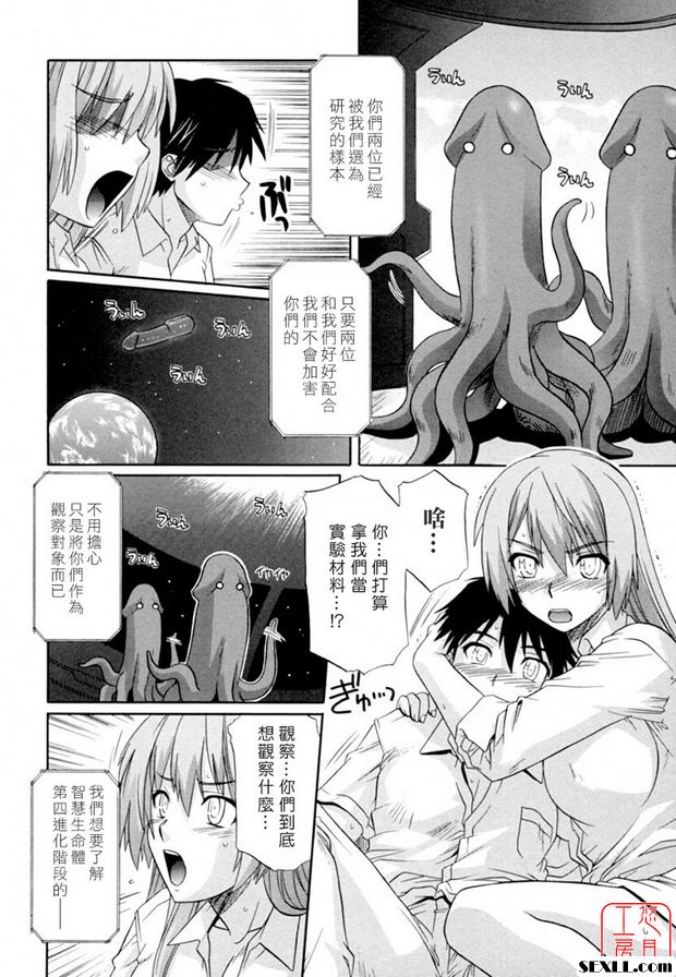 姊妹戰爭