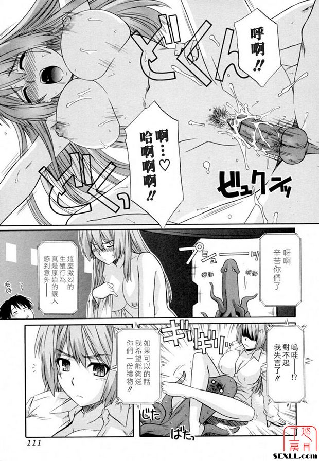 姊妹戰爭
