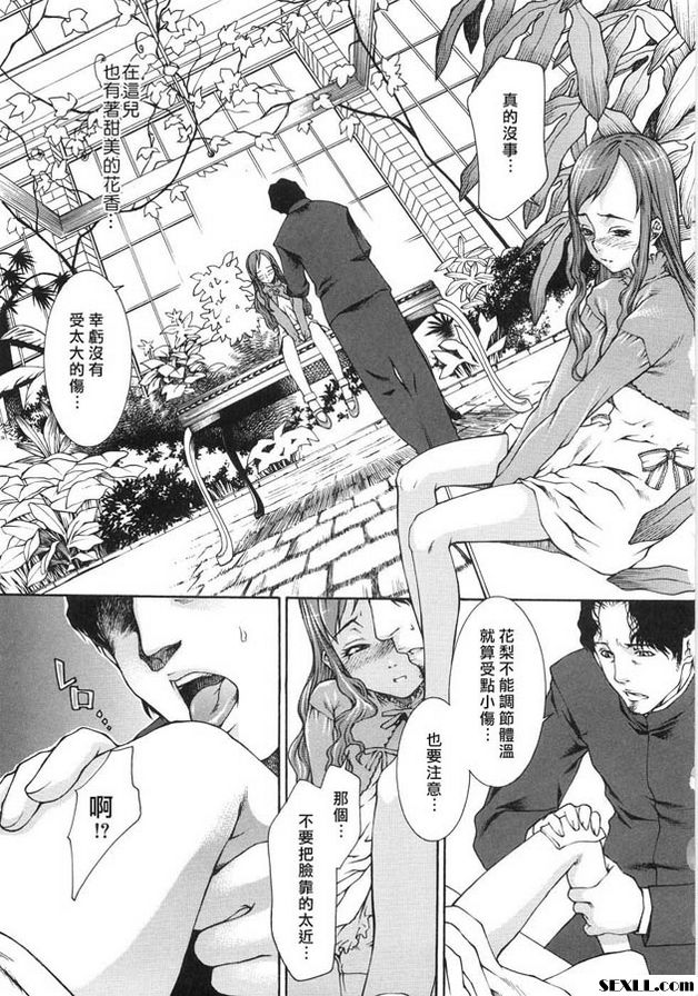 花輪