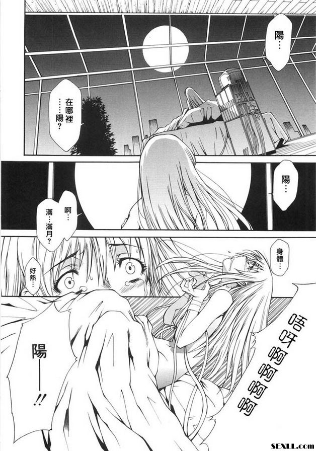 極夜與滿月