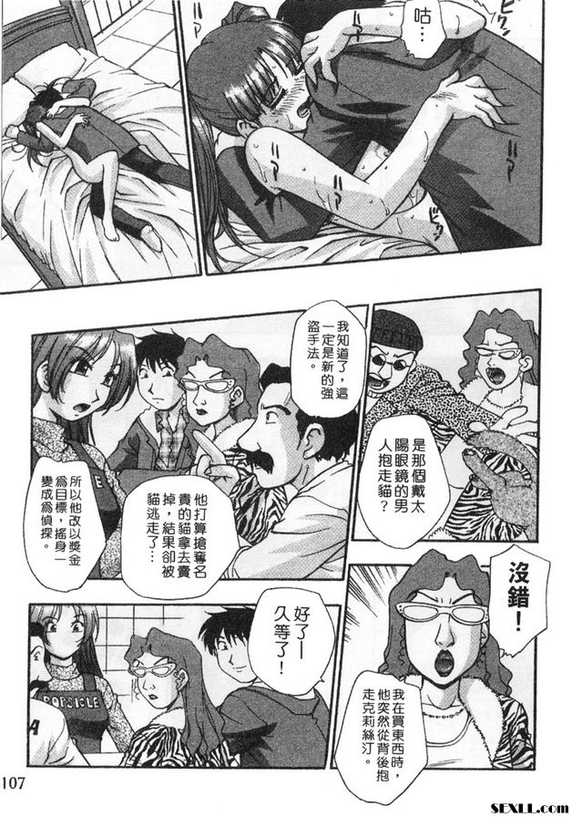 5：尋貓大冒險！？