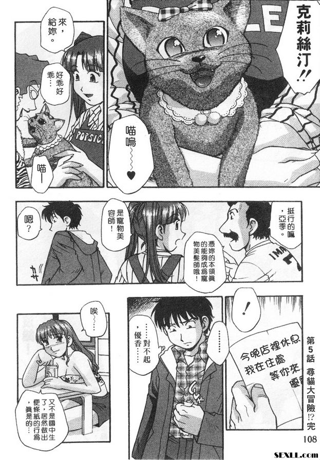 5：尋貓大冒險！？