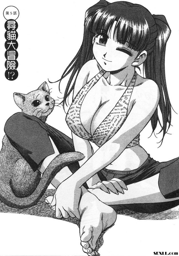 5：尋貓大冒險！？
