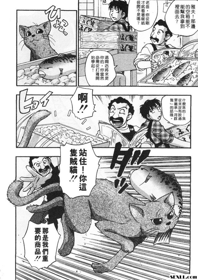 5：尋貓大冒險！？