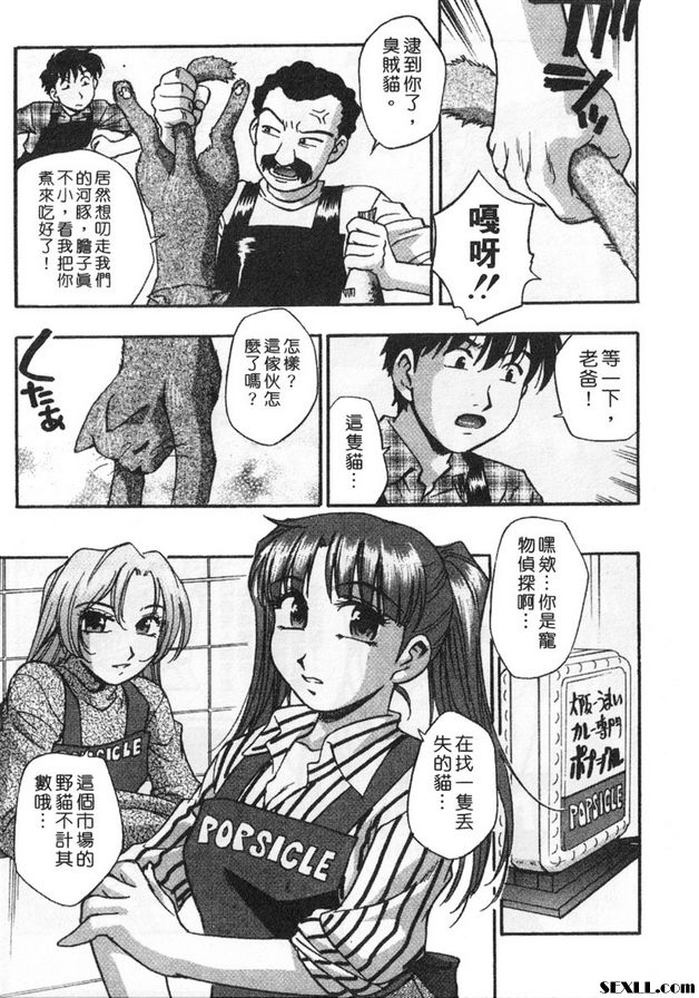 5：尋貓大冒險！？