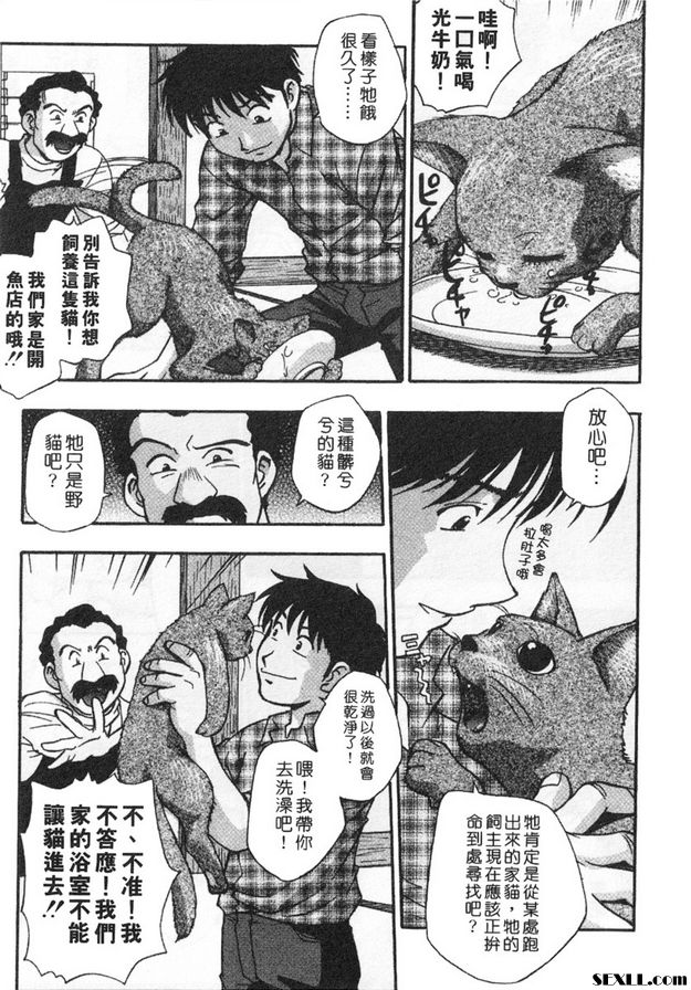 5：尋貓大冒險！？