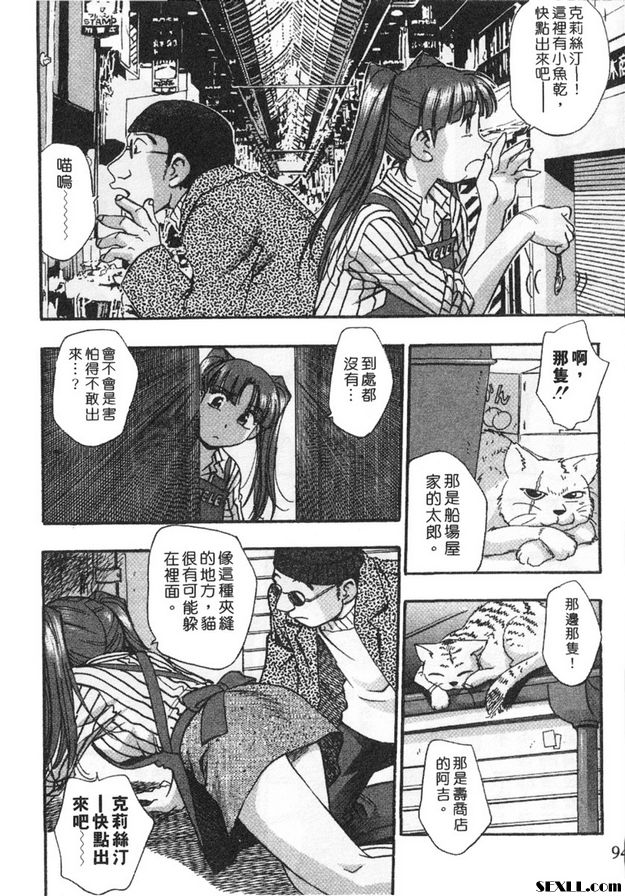 5：尋貓大冒險！？