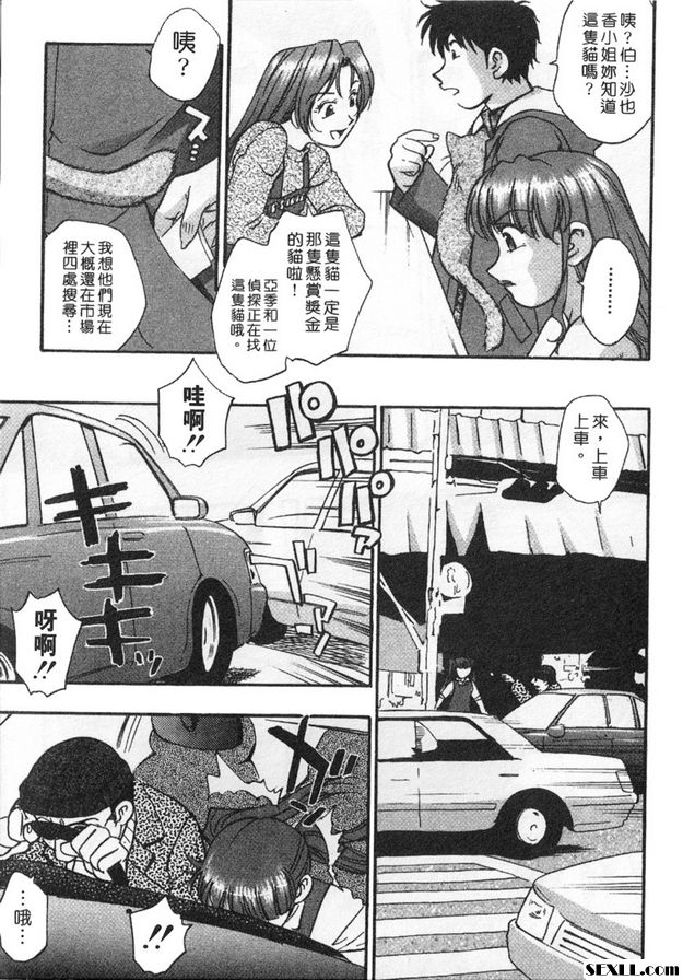 5：尋貓大冒險！？