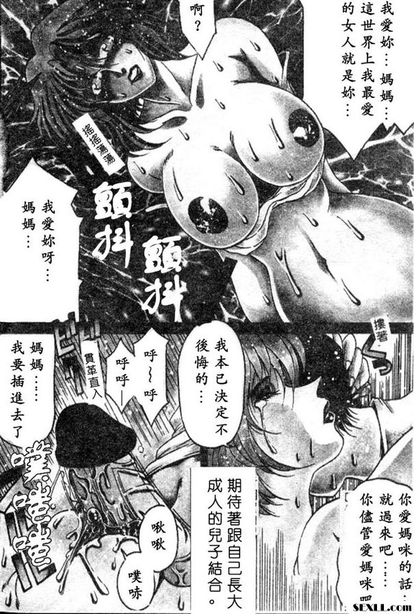 淫逸愛母