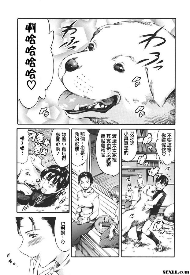 2：遛狗版