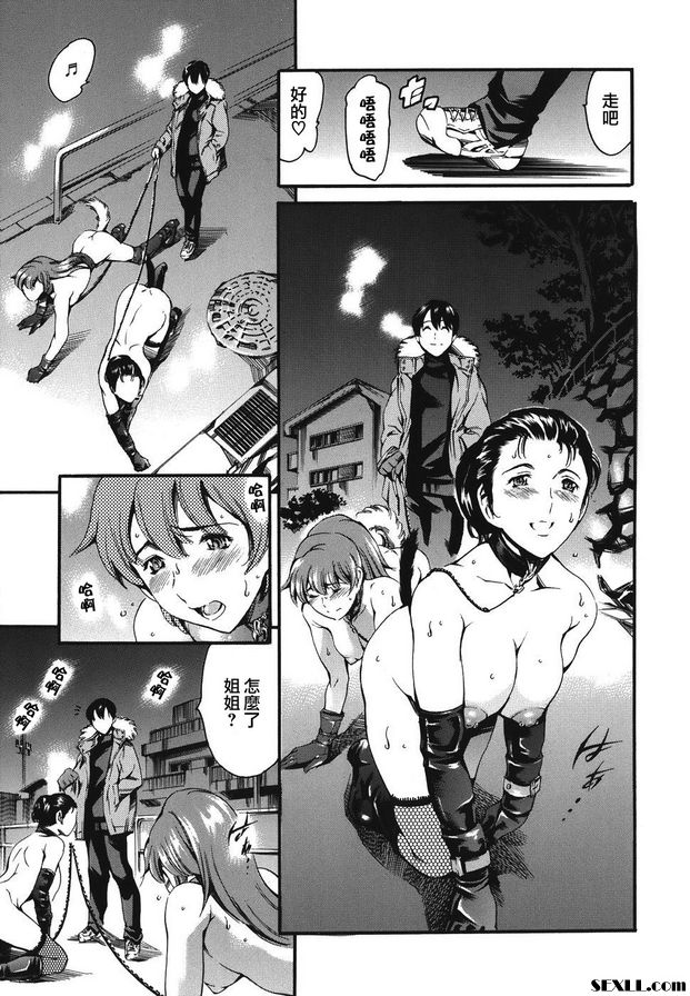 2：遛狗版