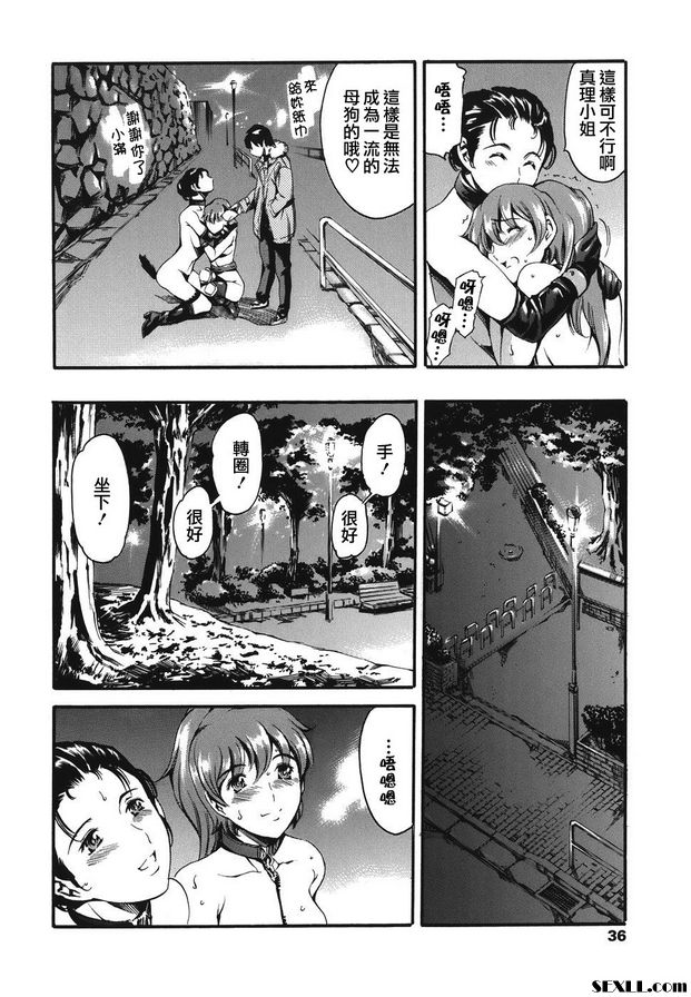 2：遛狗版