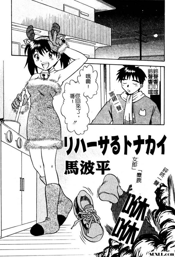 麋鹿女郎